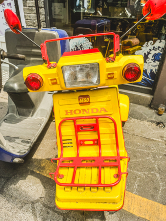 Melodyhirsch Southkorea2024 085