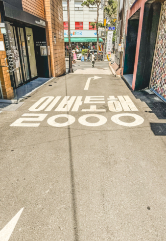 Melodyhirsch Southkorea2024 103