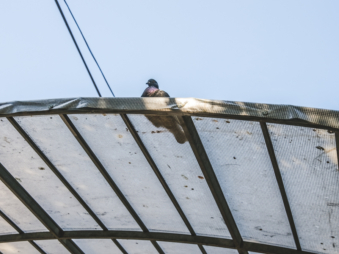 Melodyhirsch Southkorea2024 104