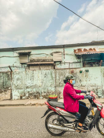 Melodyhirsch Vietnam 001