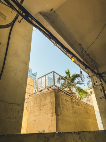 Melodyhirsch Vietnam 002