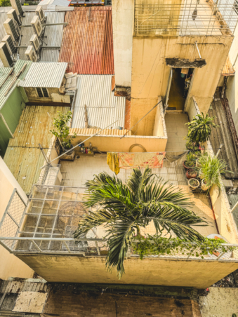 Melodyhirsch Vietnam 003