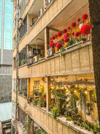 Melodyhirsch Vietnam 004