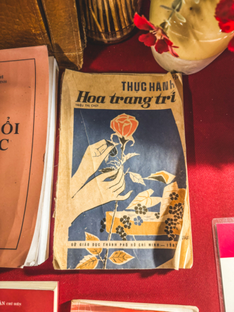 Melodyhirsch Vietnam 010