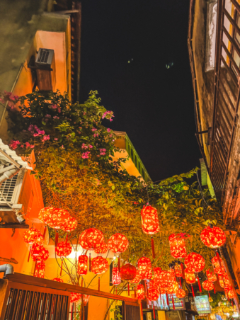 Melodyhirsch Vietnam 011