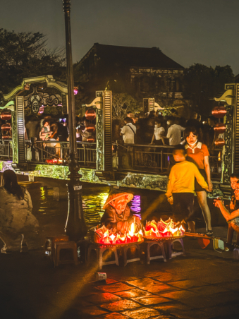 Melodyhirsch Vietnam 012