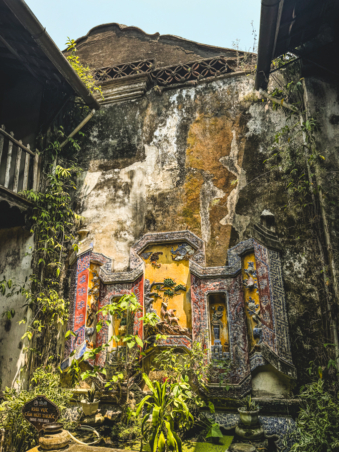 Melodyhirsch Vietnam 013