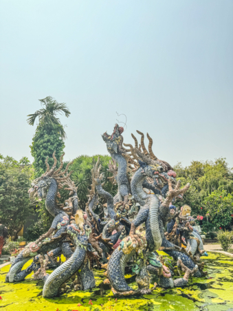 Melodyhirsch Vietnam 014