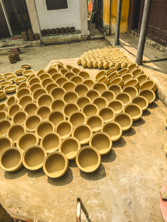 Melodyhirsch Vietnam 015