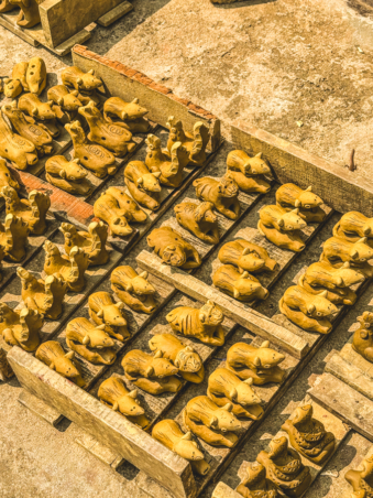 Melodyhirsch Vietnam 017