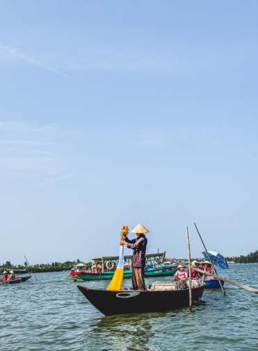 Melodyhirsch Vietnam 019