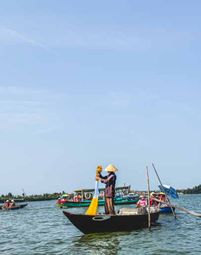 Melodyhirsch Vietnam 019