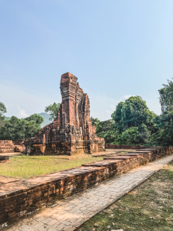 Melodyhirsch Vietnam 021