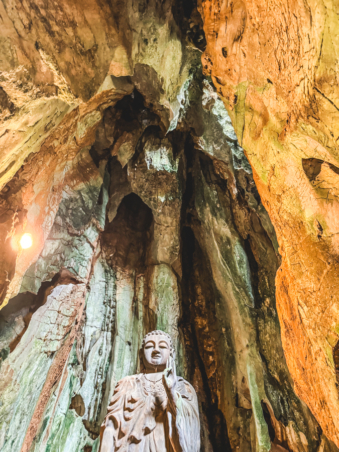 Melodyhirsch Vietnam 024