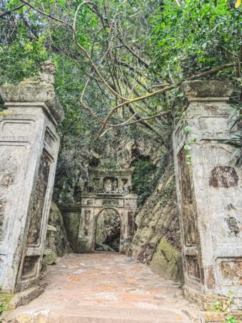 Melodyhirsch Vietnam 026