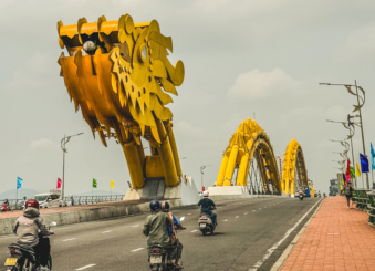 Melodyhirsch Vietnam 027