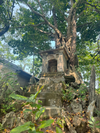 Melodyhirsch Vietnam 030