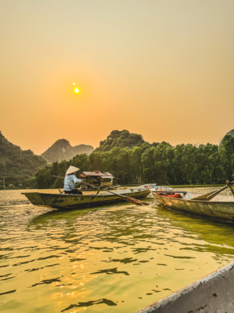 Melodyhirsch Vietnam 035