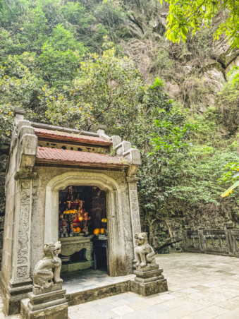 Melodyhirsch Vietnam 042