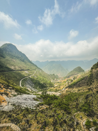 Melodyhirsch Vietnam 051