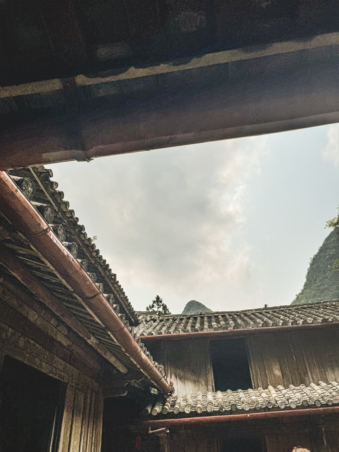 Melodyhirsch Vietnam 055