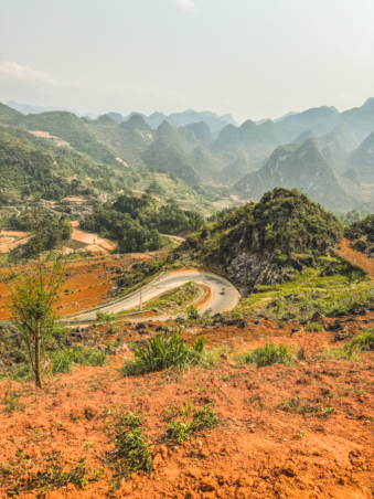 Melodyhirsch Vietnam 056