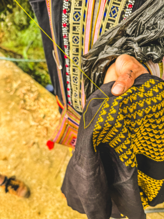 Melodyhirsch Vietnam 061