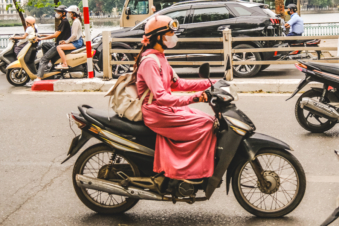 Melodyhirsch Vietnam 077