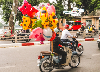 Melodyhirsch Vietnam 078