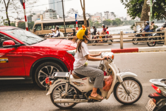 Melodyhirsch Vietnam 081