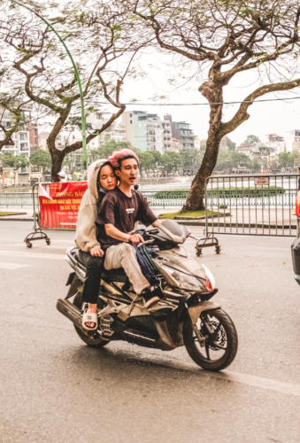 Melodyhirsch Vietnam 084