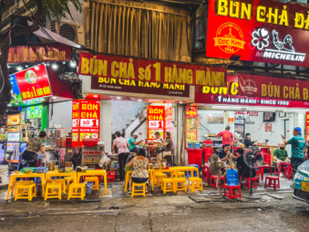 Melodyhirsch Vietnam 087