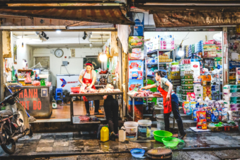 Melodyhirsch Vietnam 089