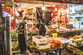 Melodyhirsch Vietnam 095