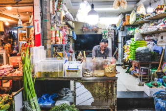 Melodyhirsch Vietnam 096