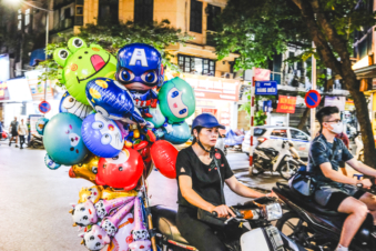 Melodyhirsch Vietnam 101