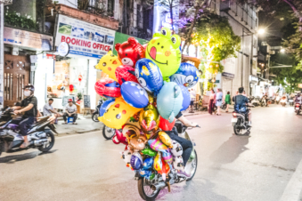 Melodyhirsch Vietnam 102